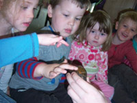 Kids playing with animals