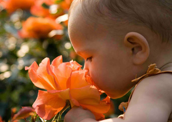 child flower