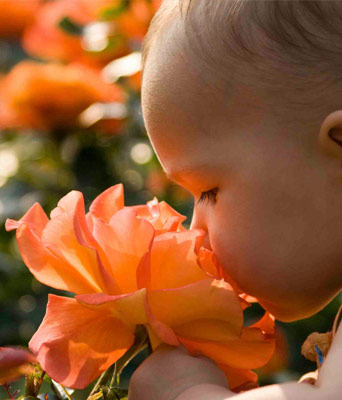 child smelling a flower